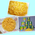 New crop canned sweet corn in canned vegetable